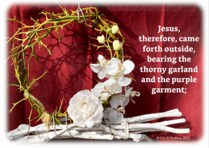 Crown of thorns – Vigi-Sectes